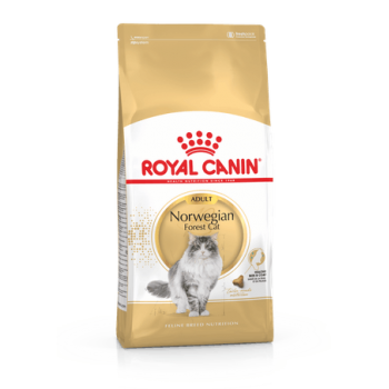 Royal Canin Norwegian Forest Cat Adult 2kg 